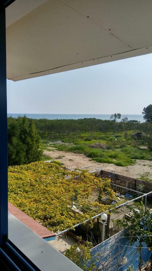 Willa Il Mare Larnaca Zewnętrze zdjęcie