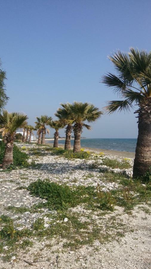 Willa Il Mare Larnaca Zewnętrze zdjęcie