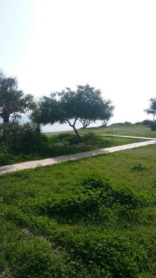 Willa Il Mare Larnaca Zewnętrze zdjęcie